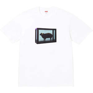 Clothing: Supreme Damien Hirst Tee White