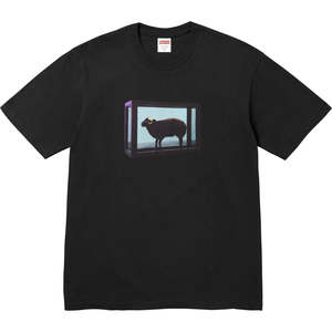 Clothing: Supreme Damien Hirst Tee Black