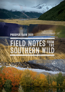 2025 Yarn Advent Calendar