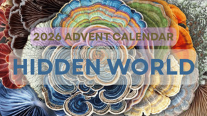 Clubs Subscriptions: 2026 Yarn Advent Calendar