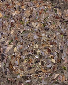 Products: Old Stone Print - Botz – Protean Art Gallery – Nelson New Zealand