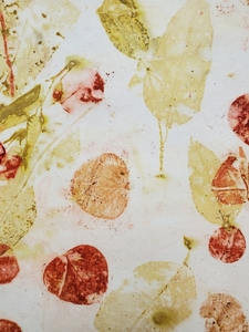 Cotton Rag Eco Print Papers - Provenance – Crafting with Nature