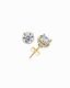 Luminous Stud Earrings Gold