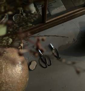 Iron: Bonsai / Ikebana pruning shears / Kenzan