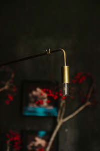 Brass: Wall Hanging Lamp