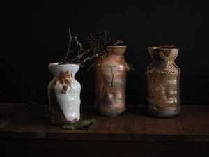 Elena Renker: Vase, ver.1, ver.5 or ver.6