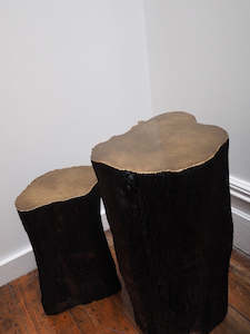 Veronique Desmet: Gilded Wood Sculptures - (NZ Macrocarpa) ver.3 or ver.4