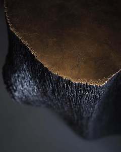 Veronique Desmet: Gilded Wood Sculpture - (Macrocarpa) ver.1