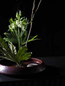Iza Lozano: Ikebana Vassel - Shallow Large Size Bowl