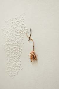 Untitled, Daisy, Pin 2010 Ver.1