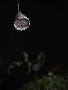 Accessories: Shiny Objects - Ring 6