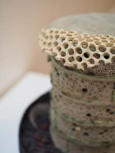 Richard Penn: Frustular Double Down, 2021-2023