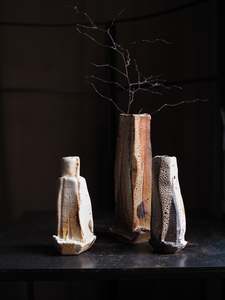 Faceted vese ver.1, ver.2 ver.3