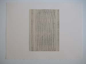 Frontpage: Grass and Water