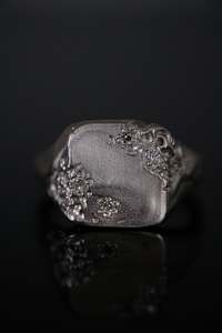 Accessories: Eroded Ring, ver2