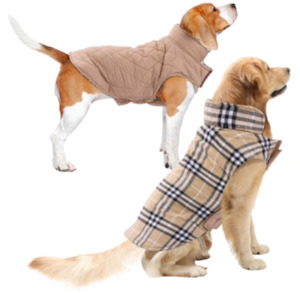 Dogs: Puffa Jacket