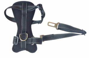 Travel: Safety Seat Belt Harness