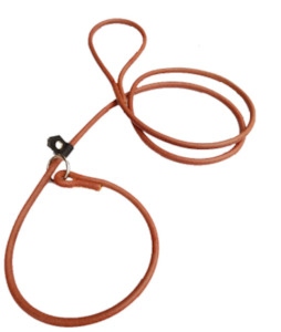 Dog Walk: Leather Slip Lead