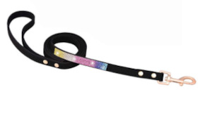 Dog Walk: Crystal Rainbow Lead