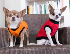 Wear Dog: Quilted Vest