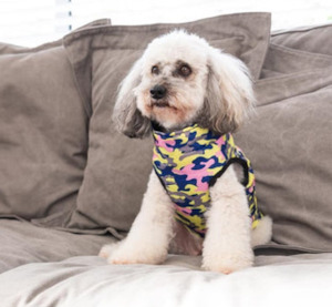 Wear Dog: Pupper Vest