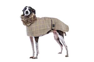 Wear Dog: Greyhound Tweed Coat