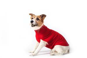 Wear Dog: Merino Tee