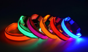 Safety Nigh-light Collar