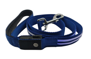 Dog Walk: Night Walker Pro LED Lead