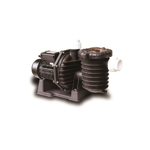 Products: Trevoli S150B Silent Flow Swimming Pool pump - Pump