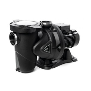 Dab Euroswim 300m Pool Pump - Pump