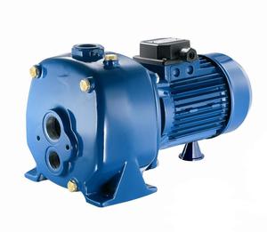 Bore Pumps: Pentax AP Series - Cast Iron Deep Well Bore Pumps