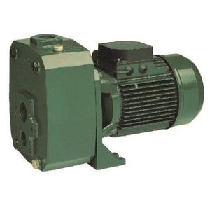 Bore Pumps: DAB-Deep Well Pump DP251M