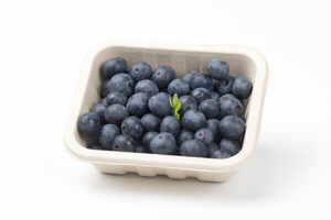 125g Produce fibre punnet 125 x 109 x 40mm (with holes) - Punchbowl Packaging