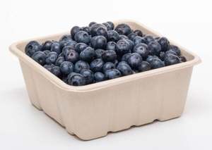 700g - 1kg Produce fibre punnet 175 x 175 x 72mm (with holes) - Punchbowl Packaging