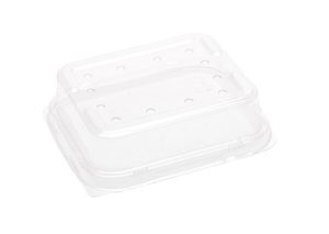 Products: 125g Raised PET punnet lid (with holes) 131 x 111 x 36mm - Punchbowl Packaging