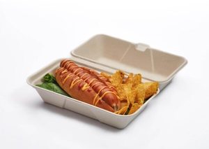 Products: Fibre takeaway hoagie clamshell 285 x 242 x 49mm - Punchbowl Packaging