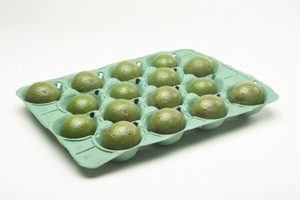 Fruit Trays - Punchbowl Packaging