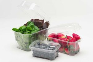 Punnets - Punchbowl Packaging