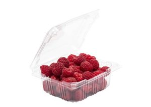 RPET 250g clamshell punnet 137 x 117 x 64mm - Punchbowl Packaging