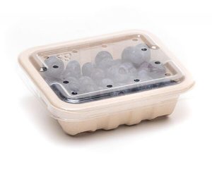 RPET Lids - Punchbowl Packaging