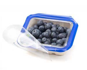 Top Seal Film - Punchbowl Packaging