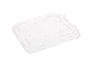 250g PET Flat punnet lid (with holes) 138 x 120 x 11mm - Punchbowl Packaging