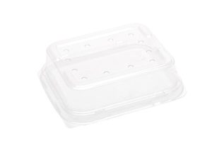 250g Raised PET punnet lid (with holes) 138 x 120 x 36mm - Punchbowl Packaging