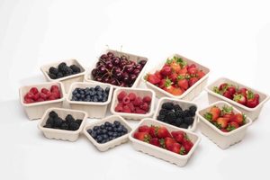 FREE 100 units of packaging trays or punnets - Punchbowl Packaging