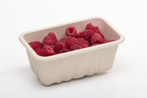 330-500g Produce fibre punnet (with holes) - Punchbowl Packaging