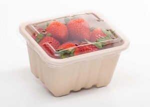 250g Produce fibre punnet 135 x 117 x 72mm (with no holes) - Punchbowl Packaging
