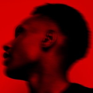 Products: Faded on Vinyl - Punctum
