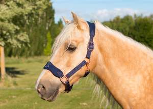 Harness Mini: SECONDS Signature Fleece Halters