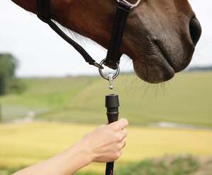 Harness Mini: GoLeyGo Black/Pink Halter and Lead Set